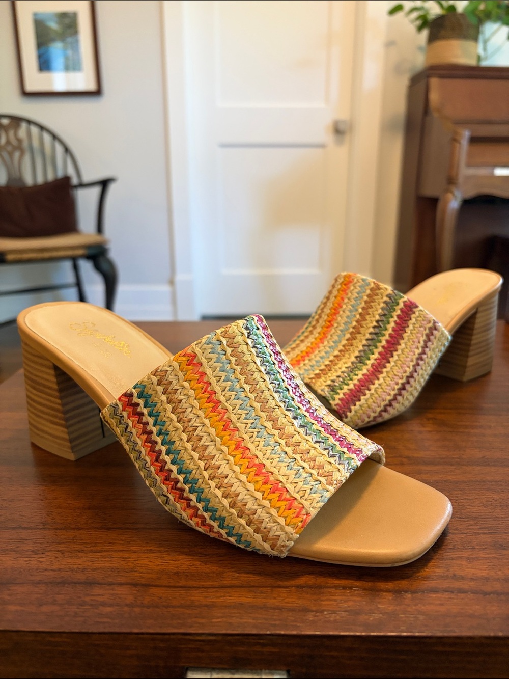 Seychelles Multicolor Woven Slide Mules with Tan Heel